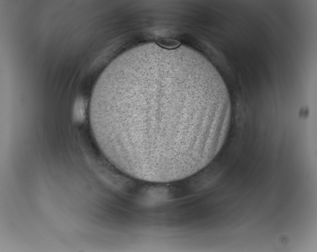 X0000112510075200909071318