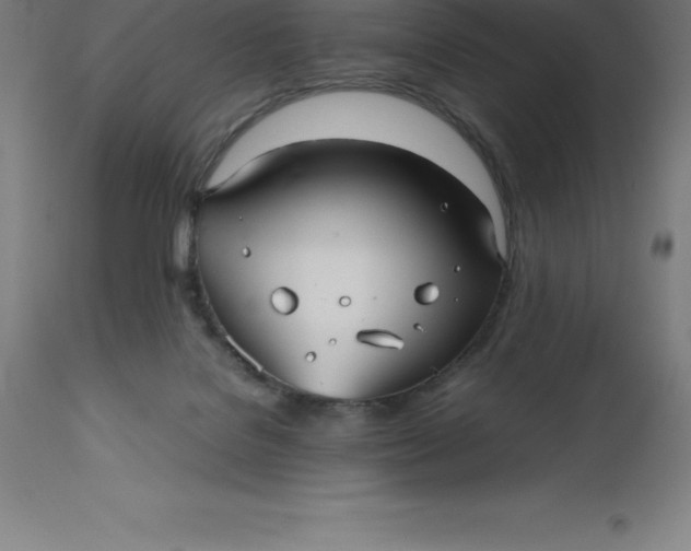 X0000112510076200909071318