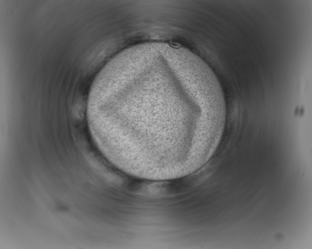 X0000112510078200909071318