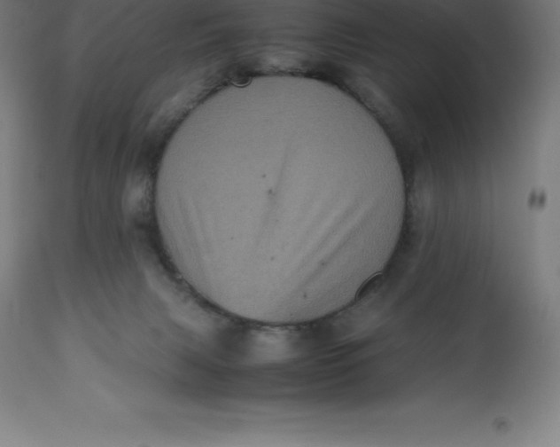 X0000112510079200909071319