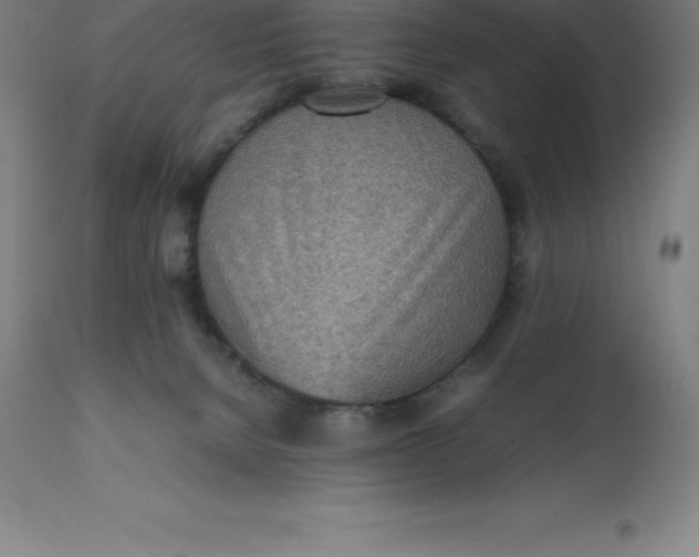 X0000112510080200909071319