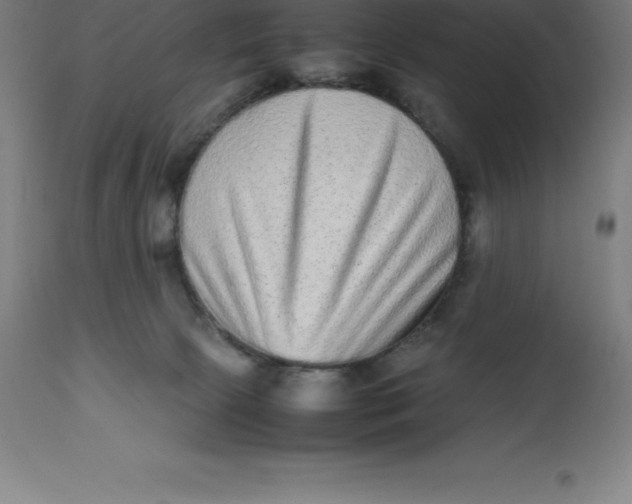 X0000112510081200909071319