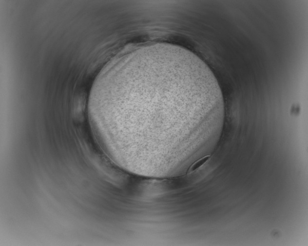 X0000112510082200909071319