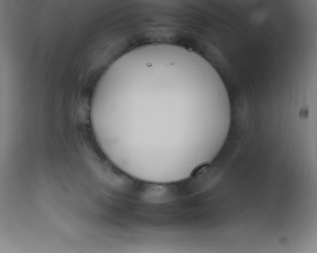 X0000112510083200909071319