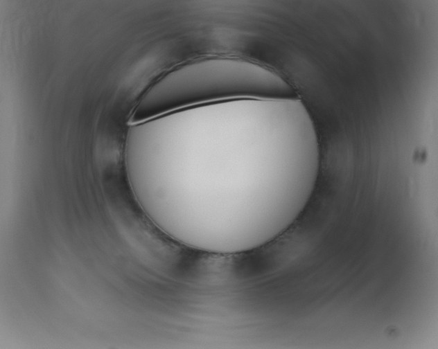 X0000112510084200909071319