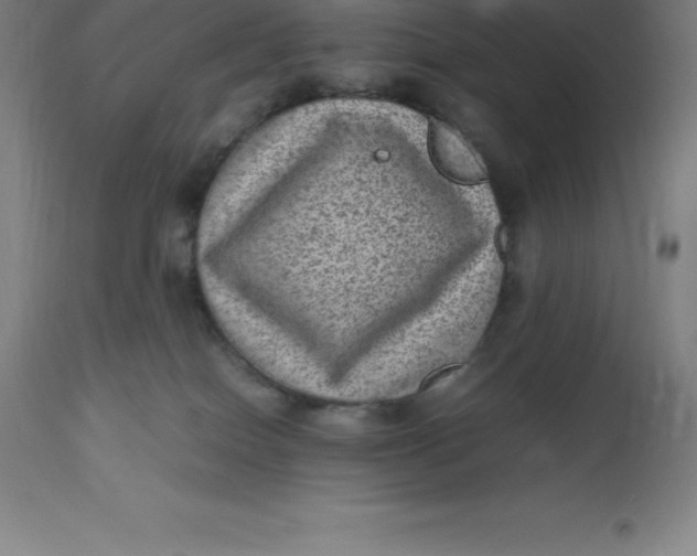 X0000112510086200909071319