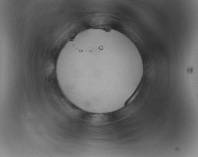 X0000112510087200909071319