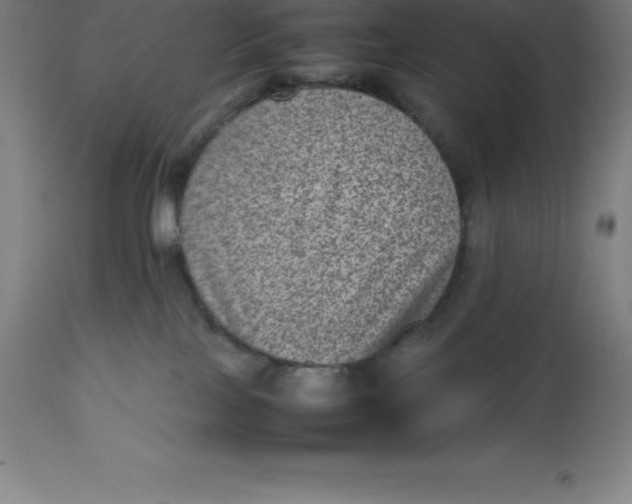 X0000112510089200909071319