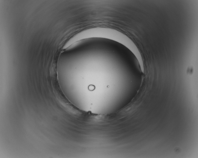 X0000112510092200909071319