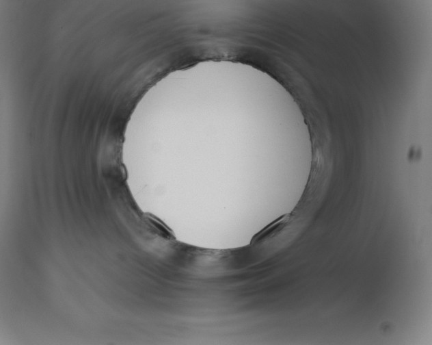 X0000112510096200909071319