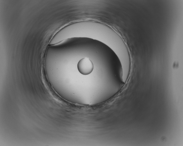 X0000112510097200909071318