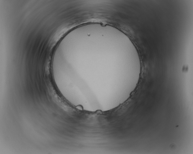 X0000112510098200909071318