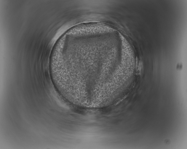 X0000112510099200909071318