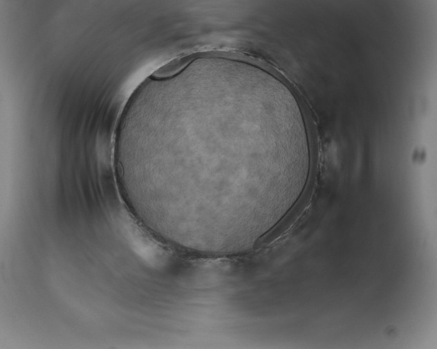 X0000112510100200909071318