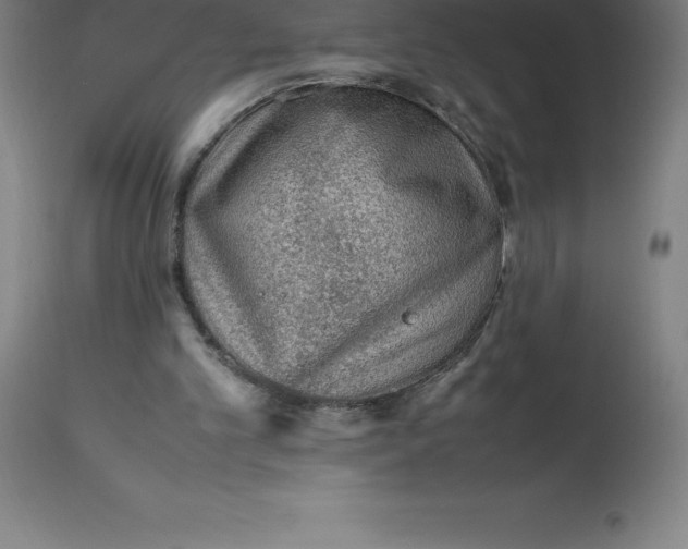 X0000112510101200909071318