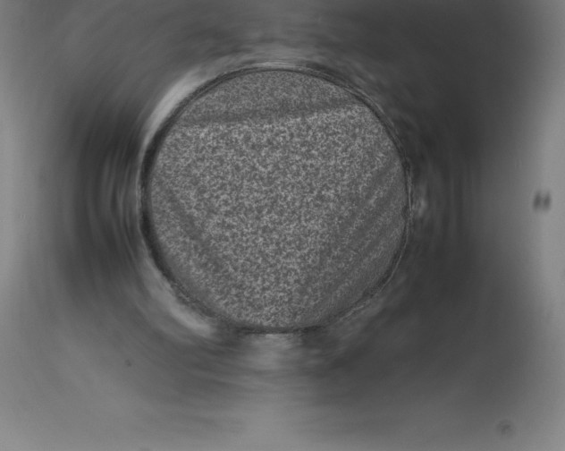 X0000112510102200909071318