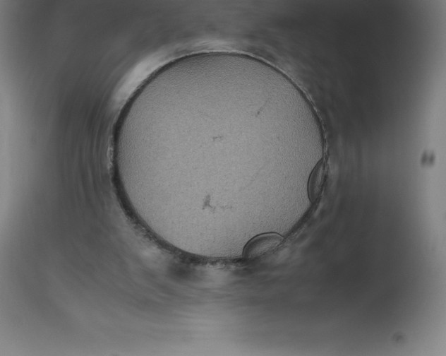 X0000112510103200909071318