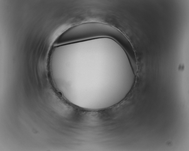 X0000112510104200909071318