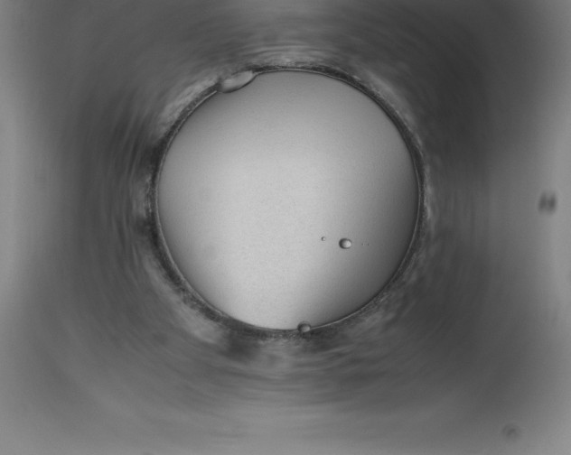 X0000112510105200909071318