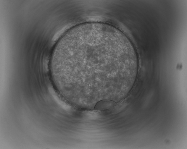 X0000112510106200909071318