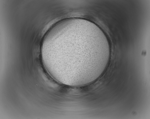 X0000112510107200909071318