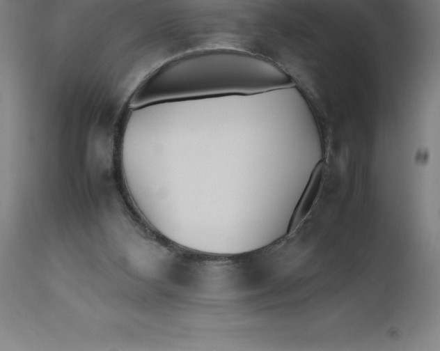 X0000112510108200909071318