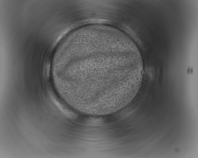 X0000112510110200909071318