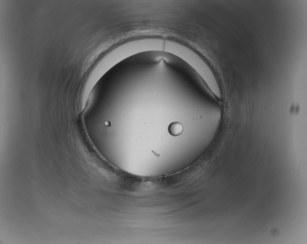 X0000112510111200909071318