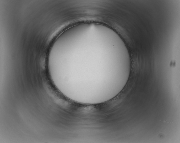 X0000112510112200909071318