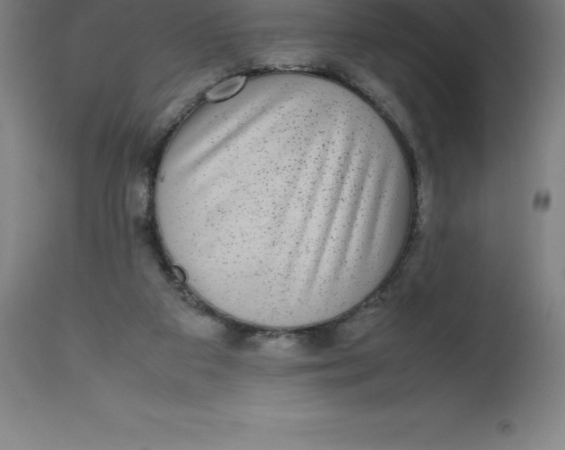 X0000112510113200909071318