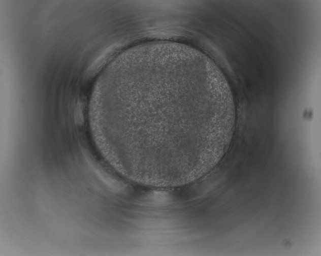 X0000112510114200909071318