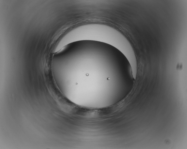 X0000112510116200909071318