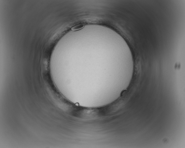 X0000112510117200909071318