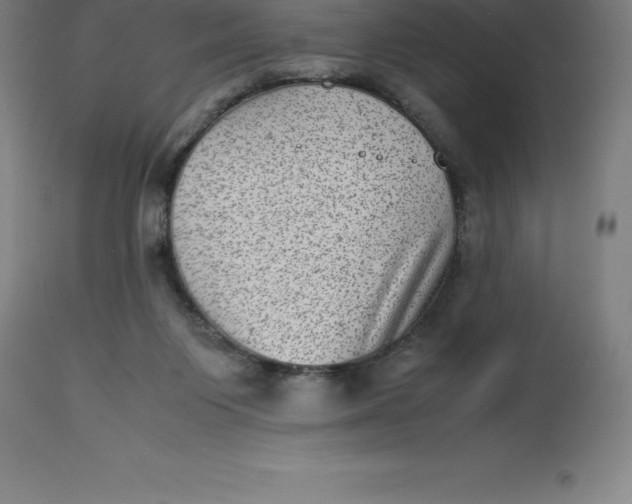 X0000112510119200909071318