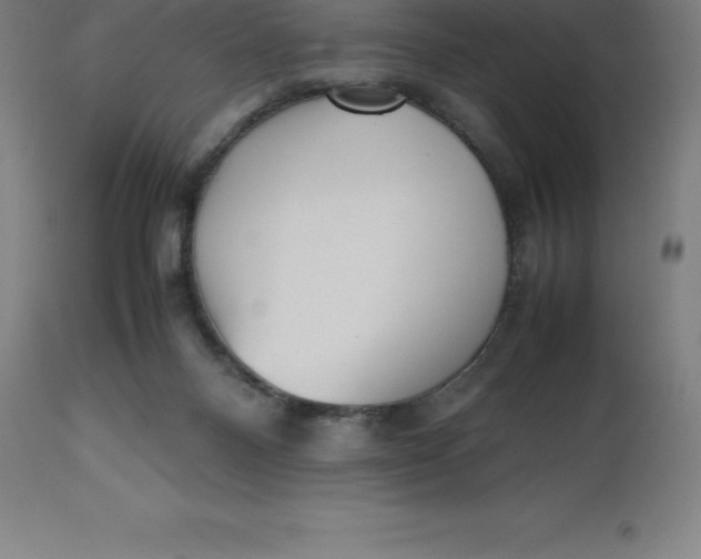 X0000112510120200909071318