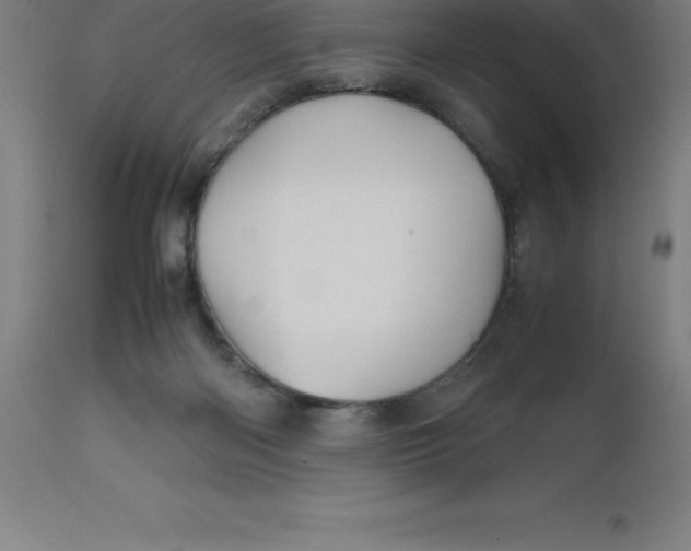 X0000112510122200909071318