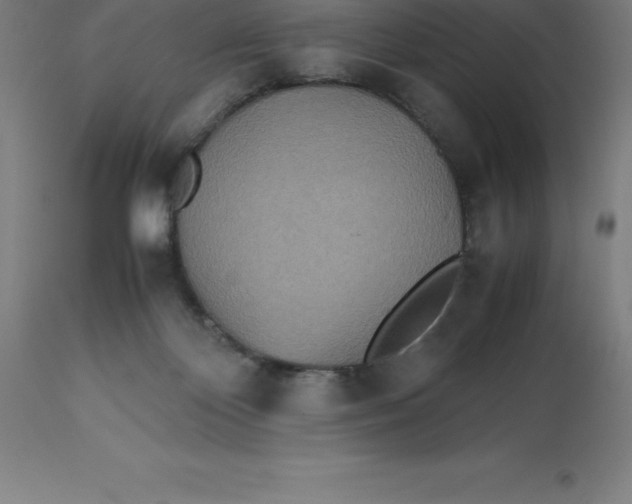 X0000112510124200909071318