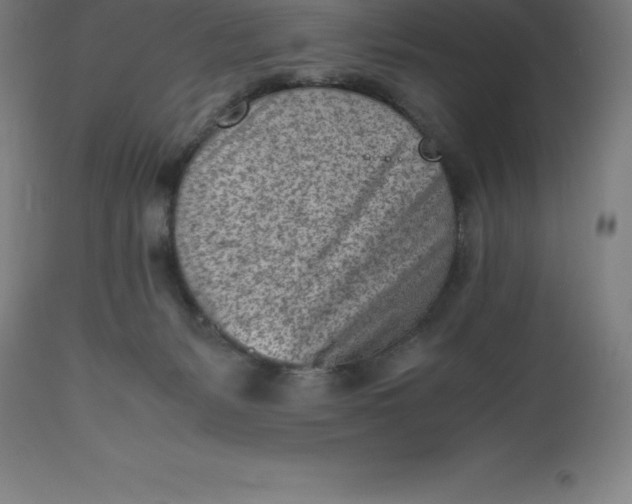 X0000112510127200909071318