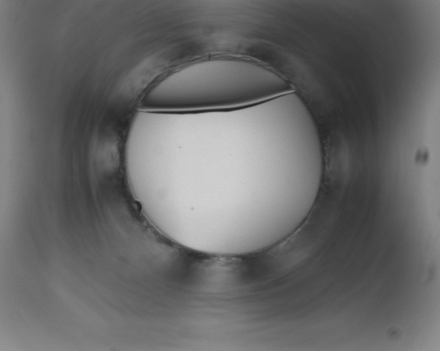 X0000112510128200909071318