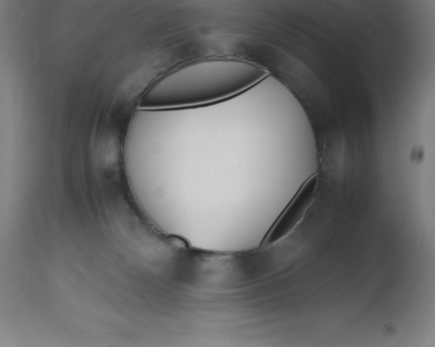 X0000112510132200909071318