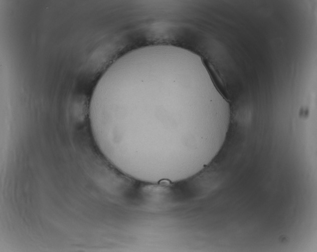 X0000112510133200909071318