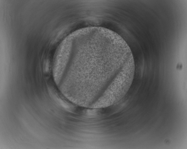 X0000112510134200909071318