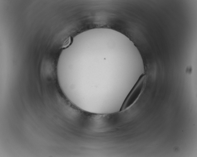 X0000112510136200909071318