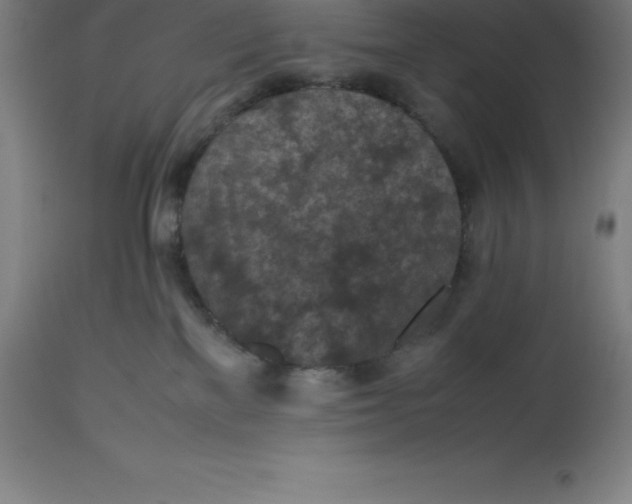 X0000112510137200909071318