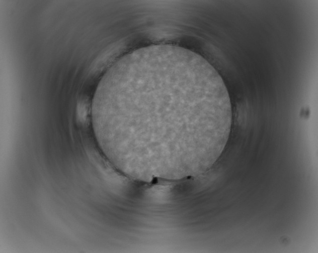 X0000112510138200909071317