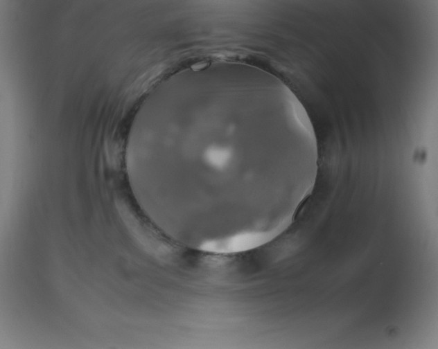 X0000112510139200909071317