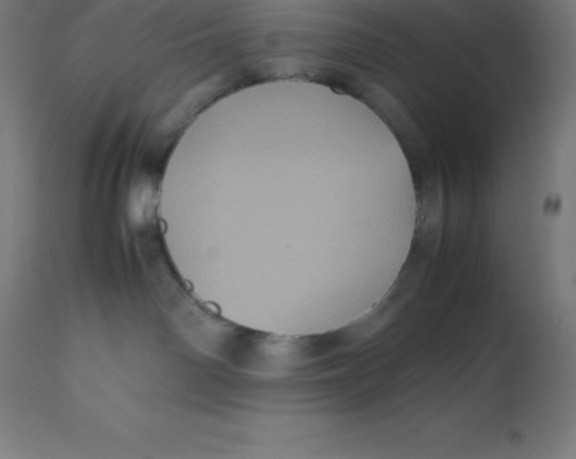 X0000112510142200909071317