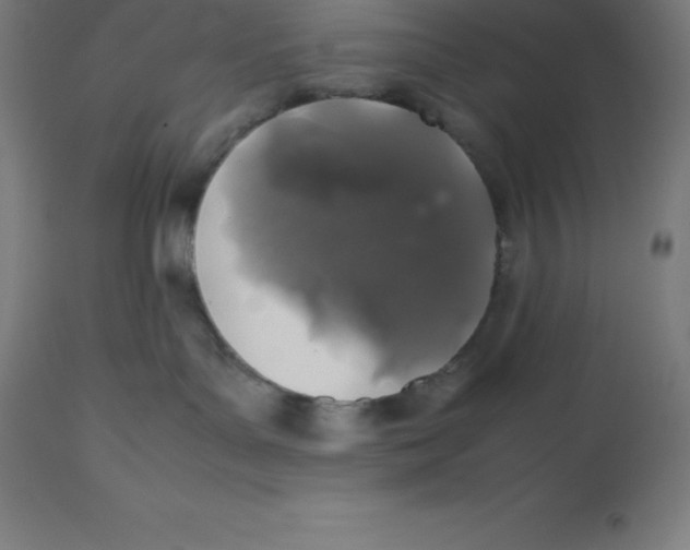 X0000112510143200909071317