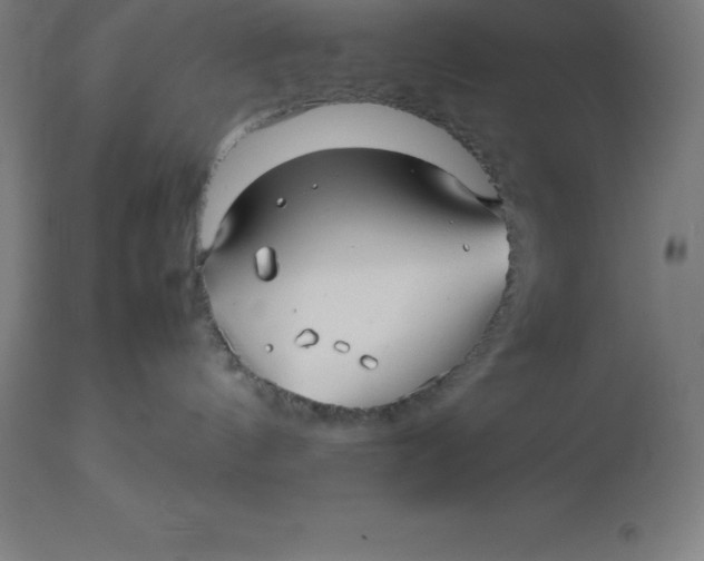 X0000112510144200909071317