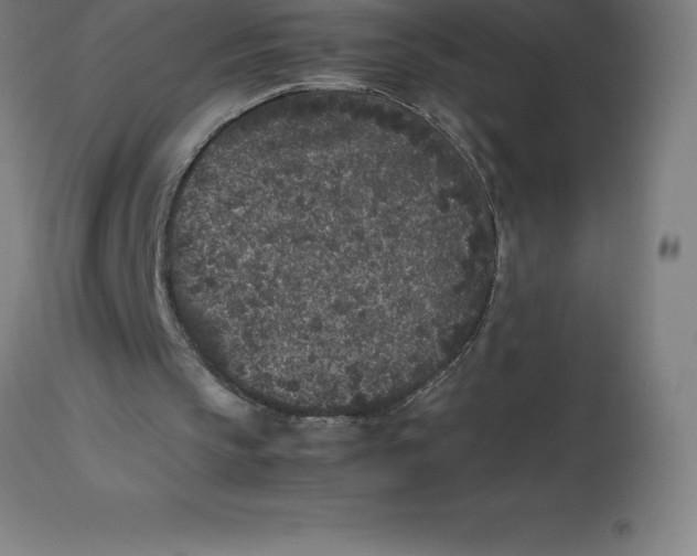 X0000112510145200909071316